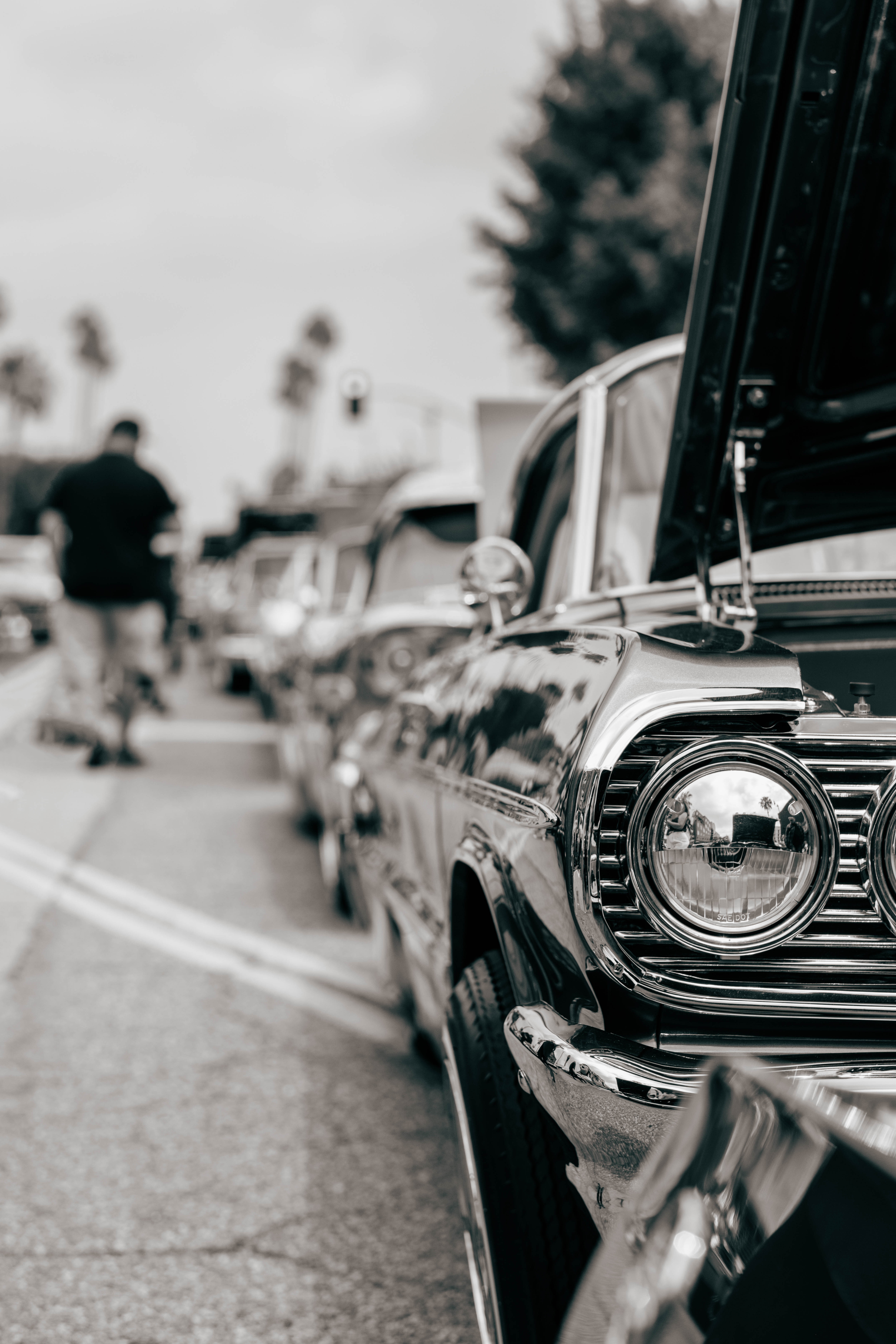 Hollywood Car Show 2026 — photo 15